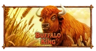 Buffalo King